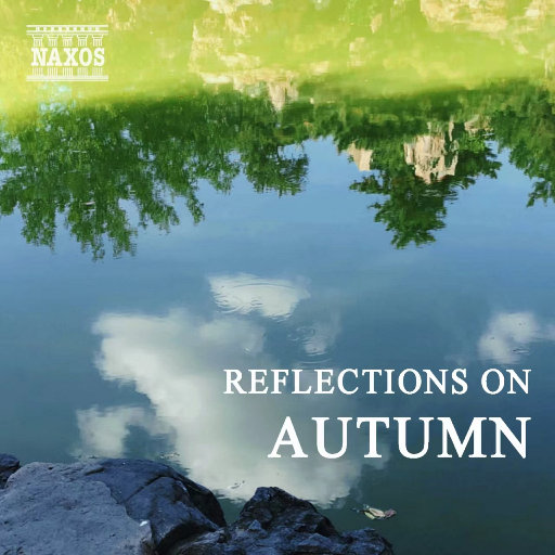 巨胸中文字幕在线视频
